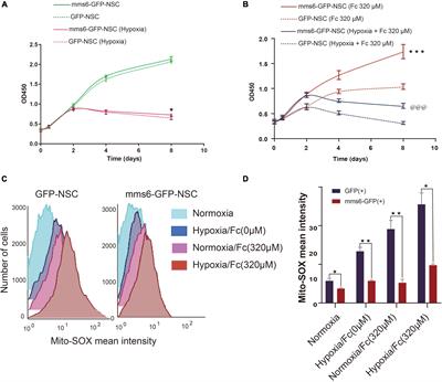 Learning from magnetotactic bacteria: mms6 protects stem cells from oxidative damage